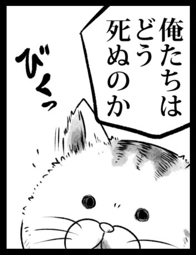 「俺たちはどう死ぬのか?」

精神科医の春日武彦先生と歌人の穂村弘さんと猫が「死」について考える連載始まりました。雨の日に読むのにぴったりですよ。

https://t.co/gijXyTiY1N 