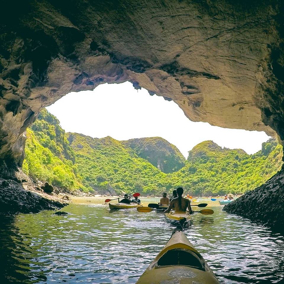 FarwegoT's tweet photo. SAY ĐẮM VẺ HOANG SƠ HỮU TÌNH CỦA VỊNH LAN HẠ
🍃 Nằm ở phía đông đảo Cát Bà, vịnh #LanHạ là cầu nối liền kề giữa đảo #CátBà và kỳ quan thế giới #VịnhHạLong. Đến đây bạn sẽ trầm trồ trước vẻ đẹp ngoạn mục của 400 hòn đảo lớn nhỏ phủ kín... https://t.co/fYKpFQ9cdv