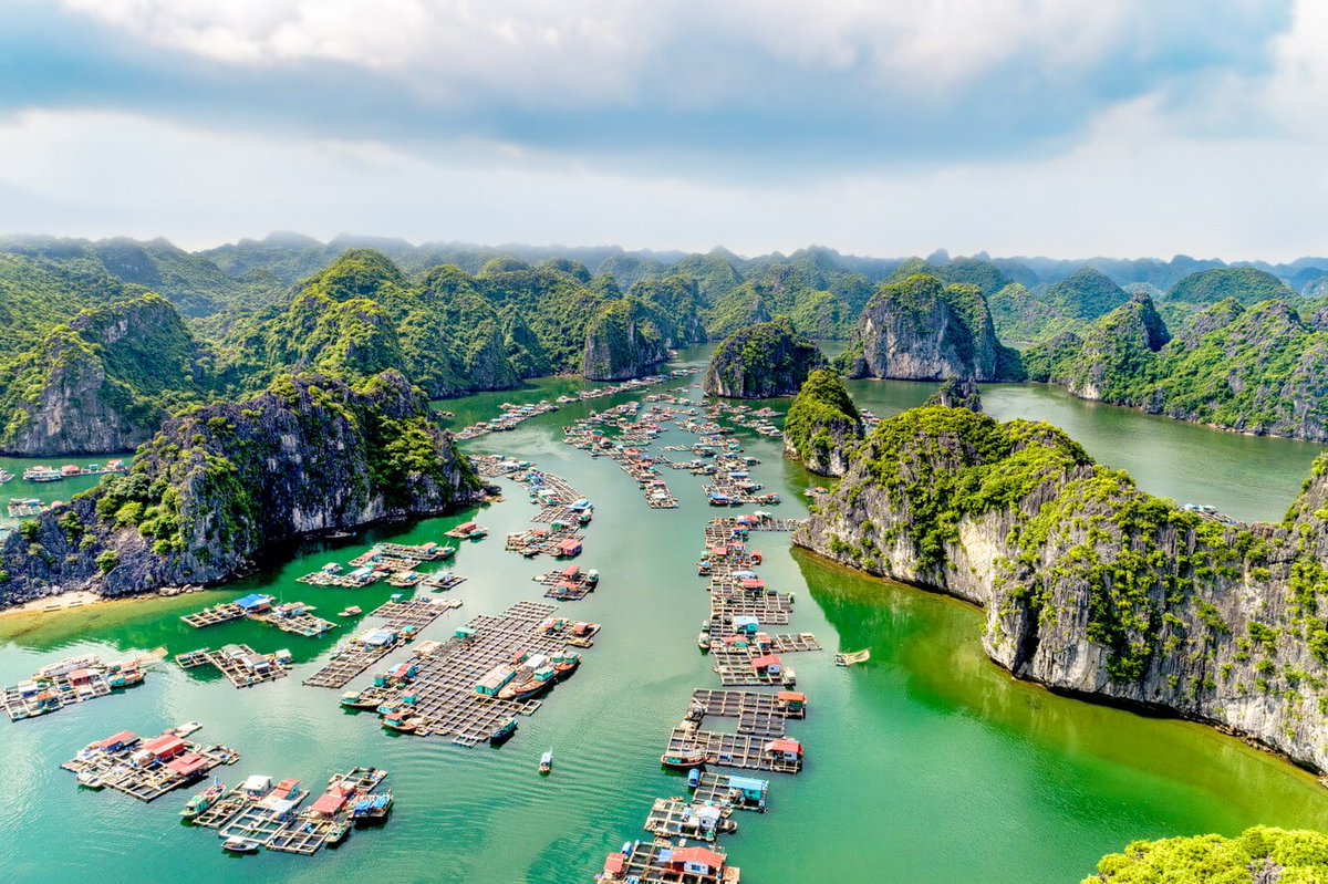FarwegoT's tweet photo. SAY ĐẮM VẺ HOANG SƠ HỮU TÌNH CỦA VỊNH LAN HẠ
🍃 Nằm ở phía đông đảo Cát Bà, vịnh #LanHạ là cầu nối liền kề giữa đảo #CátBà và kỳ quan thế giới #VịnhHạLong. Đến đây bạn sẽ trầm trồ trước vẻ đẹp ngoạn mục của 400 hòn đảo lớn nhỏ phủ kín... https://t.co/fYKpFQ9cdv