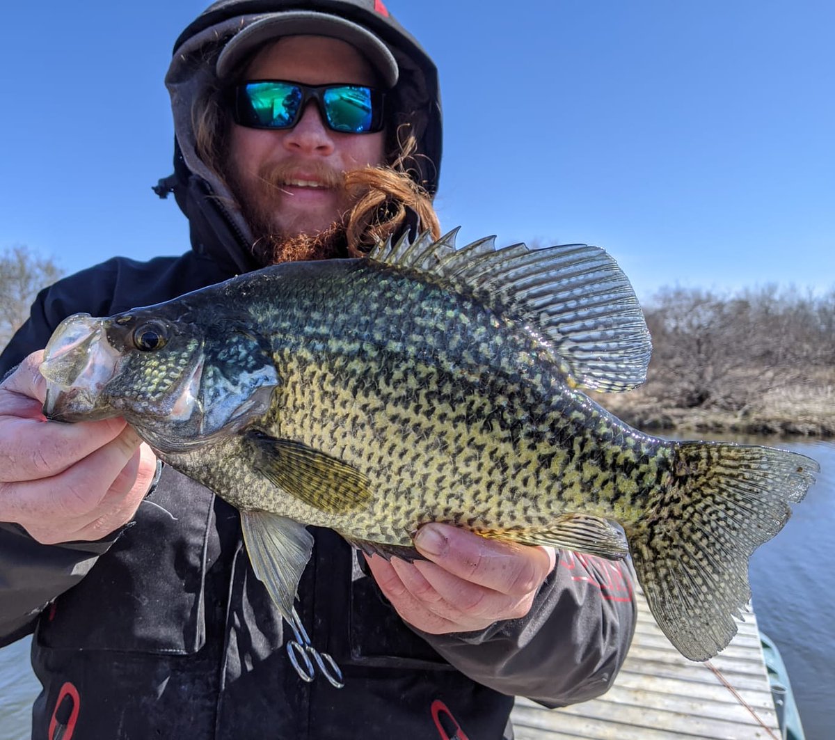 homiangling's tweet photo. Who loves some good pannie action on the fly?

#blackcrappie #crappie #flyfishing #fishing #angler #plate #slab #crappiefishing #norfin #amphibiaeyegear #spawning #openwater #catchandrelease #letemgoletemgrow #manitoba #canada #fishingmanitoba #fishingcanada #flyfishinglife https://t.co/Hl9mBOi7Jb