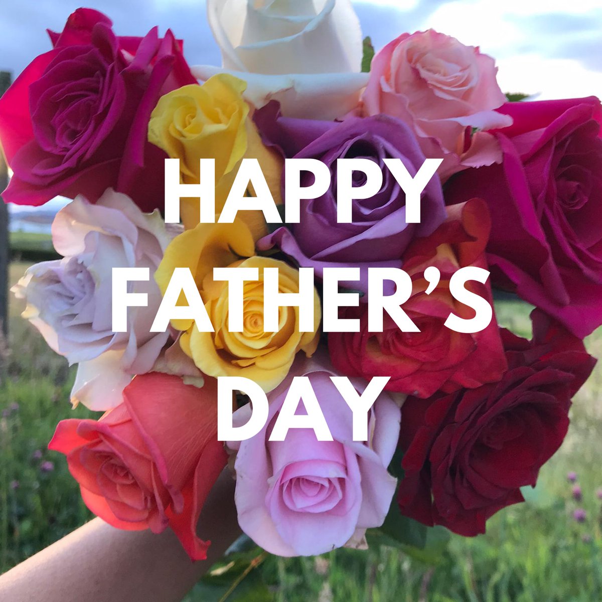 LAROSISTANCE's tweet photo. Flower to the people! https://t.co/Qz3EFiq49L