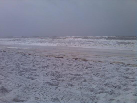 Aaron Buker tweet media