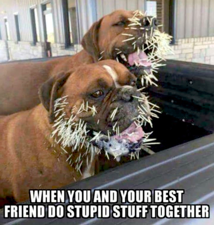 MensHumor's tweet photo. Tag'em! https://t.co/zz6F7PC0GL