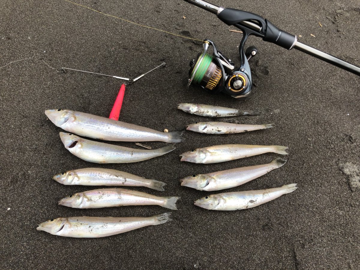 村越正海 Sur Twitter 船のシロギス釣りで好評の Ltテンビン スリムssが 嬉しいことに 陸っぱりのチョイ投げでも大活躍してくれているようです チョイ投げ 投げキス テンビン セイカイコレクション