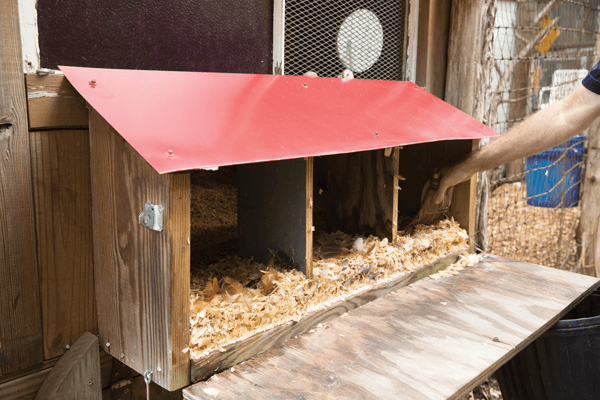 21 Free DIY Chicken Nesting Box Plans And Ideas.
#diy #chickens #eggs
bit.ly/2Bpm3g7