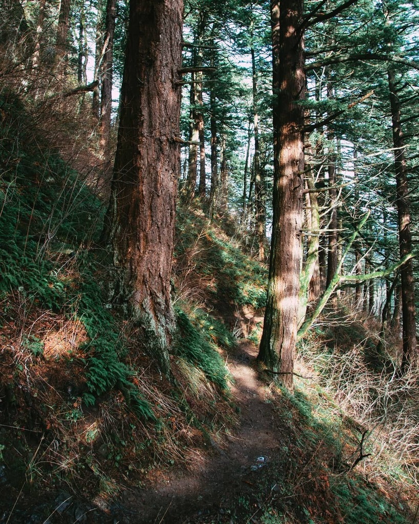 The trails we take #CapeHorn #Prindle #SkamaniaCounty #Washington #WashingtonExplored instagr.am/p/CBuC-GiFhTT/
