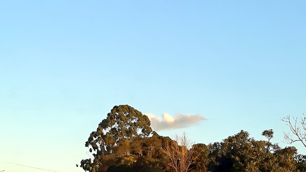 fotos_porai's tweet photo. Andando e fotografando poraí! #Marau #fotos #natureza #céu #nuven #pictures #Beautiful https://t.co/tgGHCZkbHn