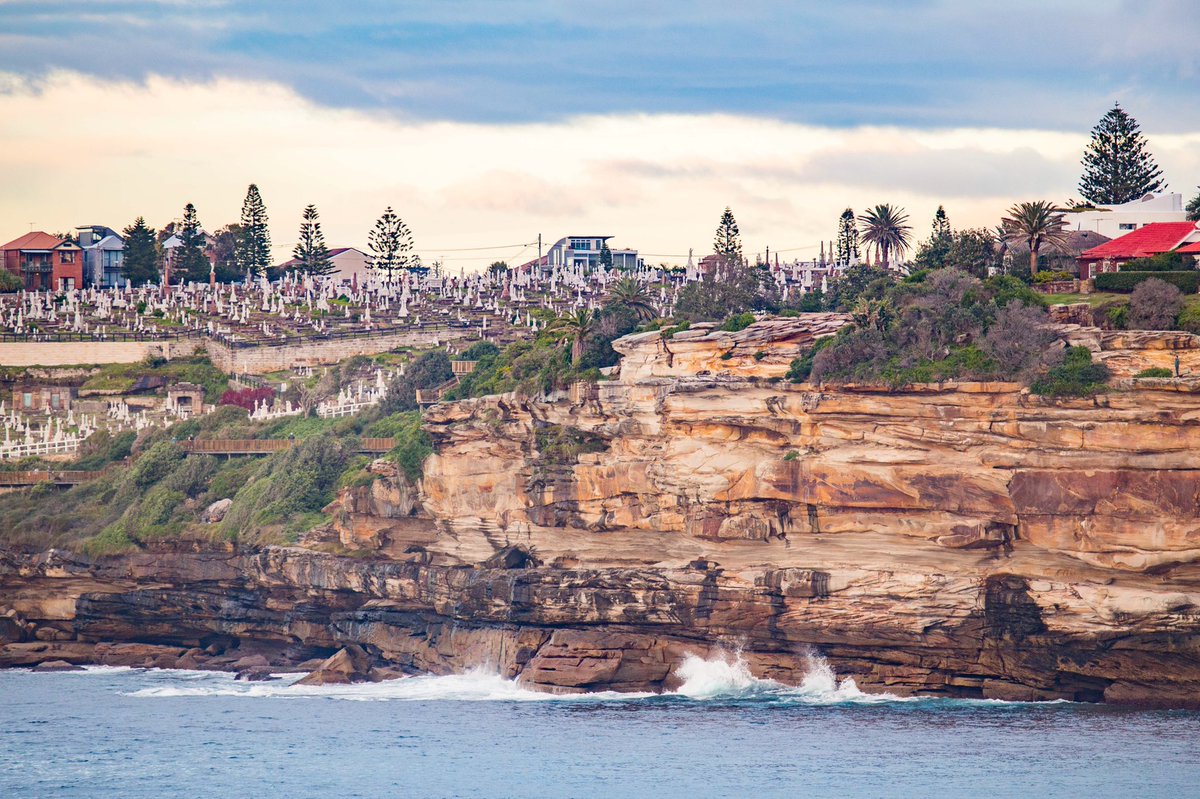 I don’t mean to be cocky 😁, but sunrise DSLR walks, humpback whales &amp; cheeky cockatoos joining me for breakfast at mine is a pretty rad start to the week! 

Happy Monday y’all! xo Dan AKA <a href="/hotndelicious/">Dan Wilkinson AKA @hotndelicious 🎞🌊✨</a>