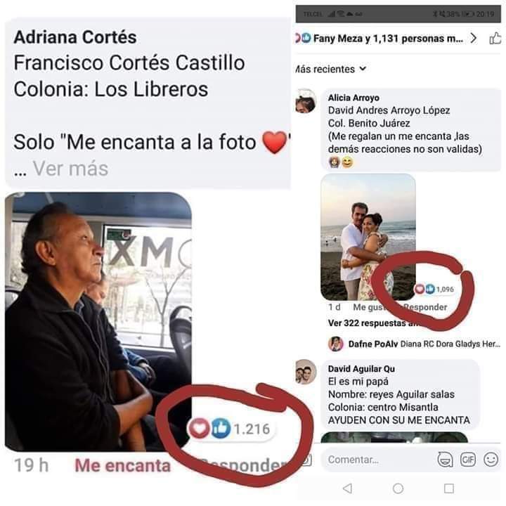 temporary_fix_'s tweet photo. #DinamicaArreglada
#AdrianaGanó
#MarigrazHernándezTramposa
#LadyFraude
#SectaNeil https://t.co/Lv7eddWURq