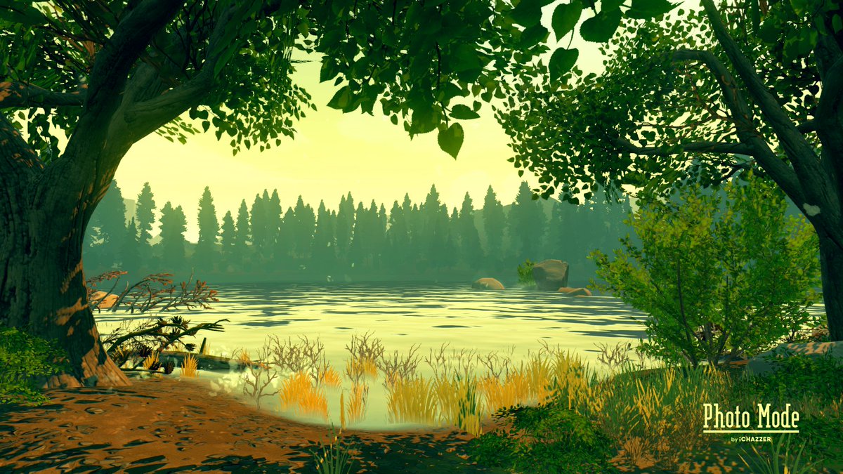 PhotoModeGames's tweet photo. Forest Opening || Firewatch | PC

#Firewatch #FirewatchGame #CampoSanto #PC #PCgaming #gaming #ingamephotography #VirtualPhotography #PhotoMode https://t.co/YYPiyLbqGg