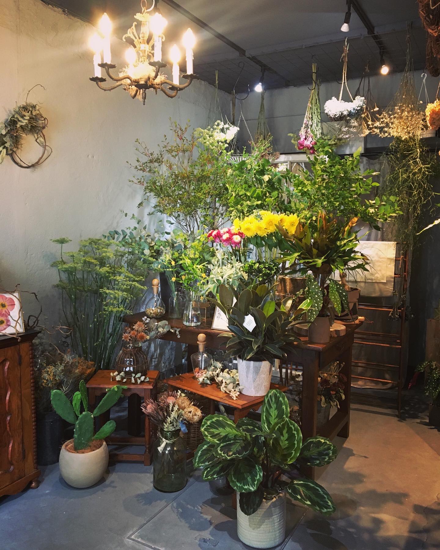 Nao Morigo Info 妹のお友達がお花屋さんをオープン 義弟が店内デザインも担当しました お近くの方は是非 Circo シールコ 神戸市中央区山本通2 6 19 Vijay 1f 078 585 8787 神戸北野 フラワーショップ 北野花屋 アンティーク調 Flowershop