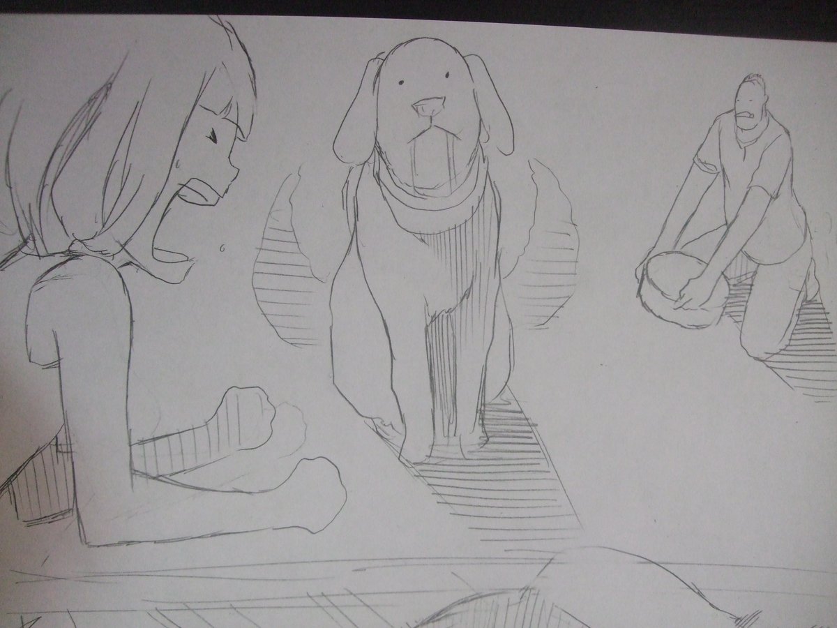 状況説明が難しいけど、

ポチ(雑種犬)がキレました。 