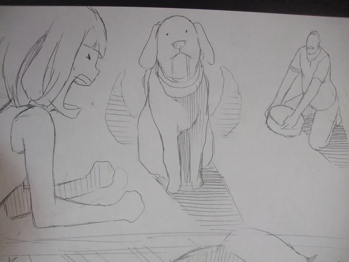 状況説明が難しいけど、

ポチ(雑種犬)がキレました。 