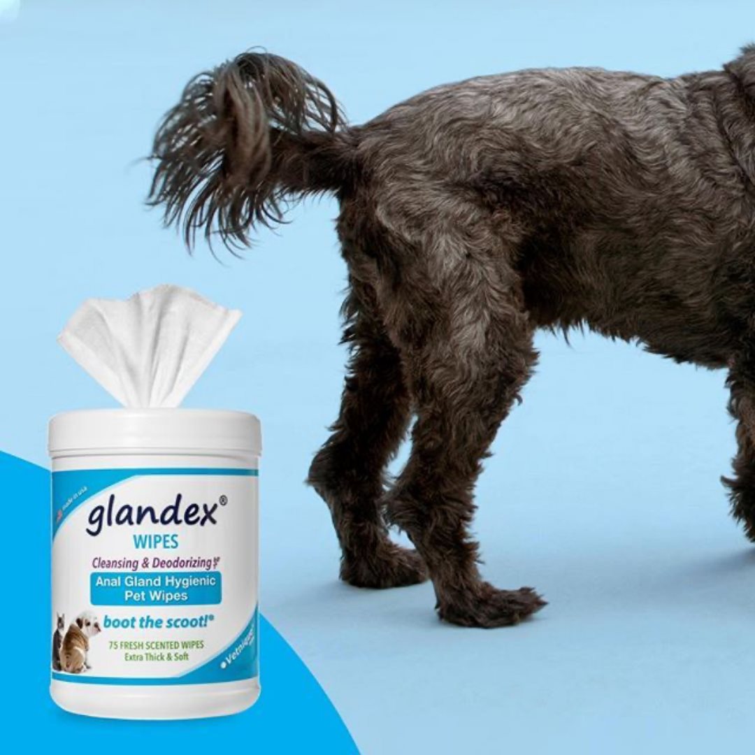 dog anal gland wipes