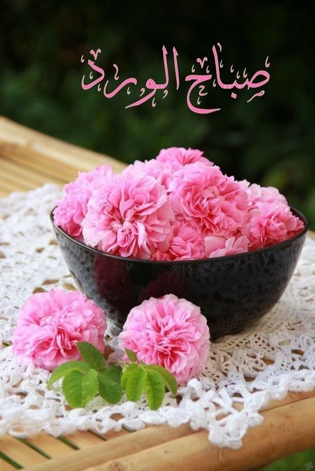 🦋يّےـٱٱٱقَےـوِتُےـ🦋 (@jmnnu8odeomcsjg) on Twitter photo 