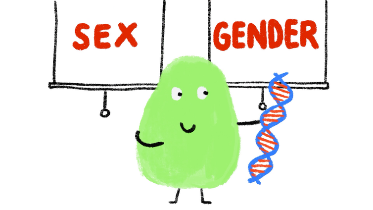 Tasmania and Victoria now allow citizens to obtain a birth certificate that accurately reflects their gender identity.

Today, <a href="/taslawreform/">Tasmania Law Reform Institute</a> <a href="/UTAS_/">University of Tasmania</a> reports there are no significant unintended consequences of the policy.

Learn more w <a href="/jonkudelka/">CAPTAIN QUOLL</a> illos: theconversation.com/all-colours-of…