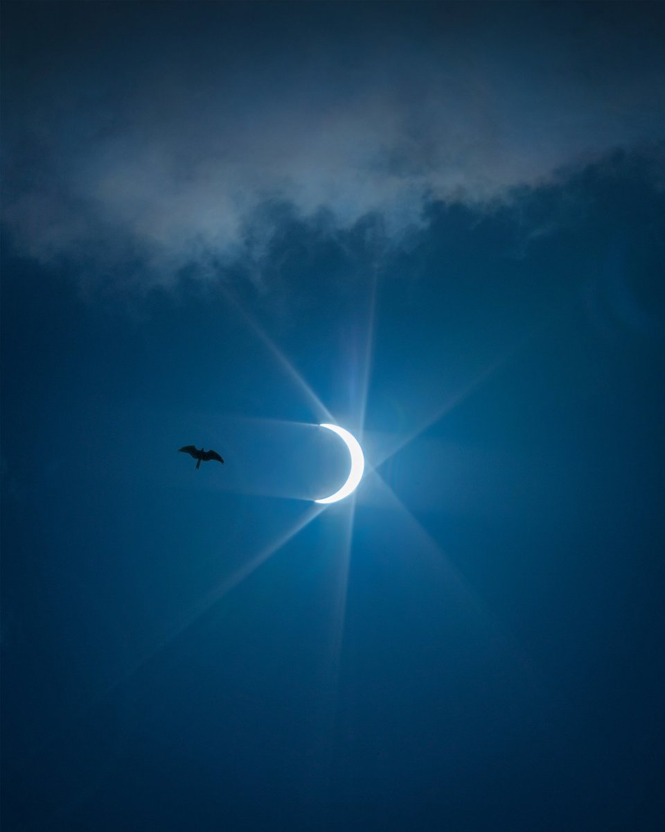 NitishWaila's tweet photo. Finally captured the magnificent epic Solar Eclipse yesterday 😀 #SolarEclipse2020 #AnnularSolarEclipse https://t.co/gCpR8mfcRb