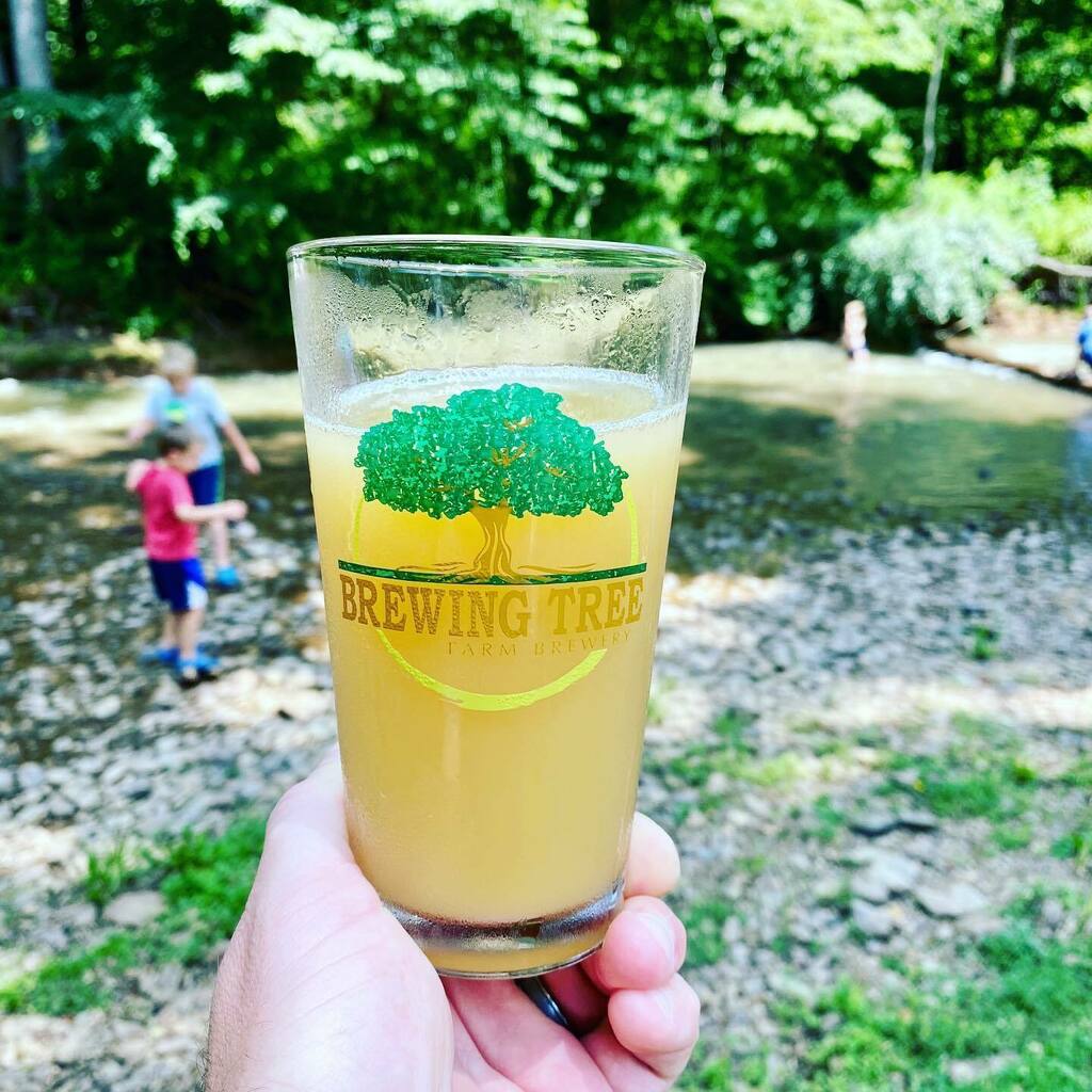 CheersVA's tweet photo. Hi, All! Here's a new #CheersVA photo! Happy Father’s Day from @brewingtree  and their Hazy IPA. Such a great spot for the kiddos! #cheersva #craftbeerva #vabeer #vacraftbeer #brewingtreebeercompany #brewridgetrail #beersofinstagram #beerstagram #instabe… https://t.co/GN5n0bD85w https://t.co/9GkauxorP8