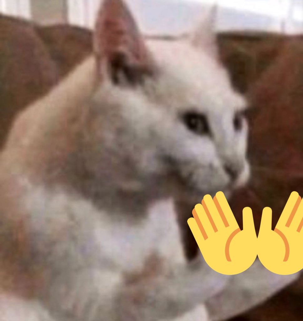 كقط طائر في السماء