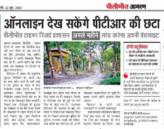 Ddevendradeva's tweet photo. पीलीभीत टाइगर रिजर्व ✍️ https://t.co/AKhFfiWrut