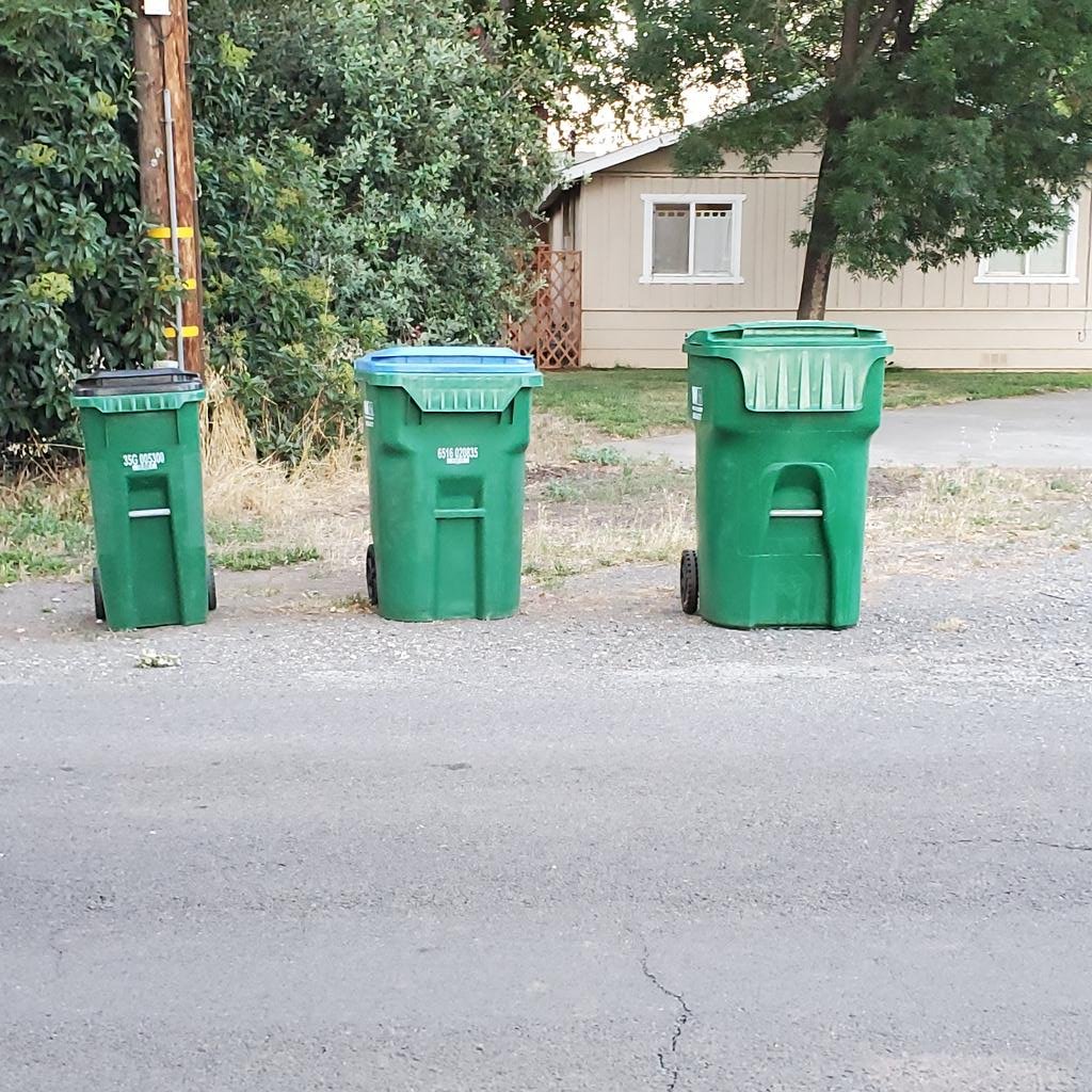 kathieblog's tweet image. Because @WasteManagement claims I haven&apos;t had my yard waste bin out front in time for my weekly Monday pickup, I&apos;m leaving this here. Black = trash, blue = recycle, green = YARD WASTE. #timestamp #datestamp