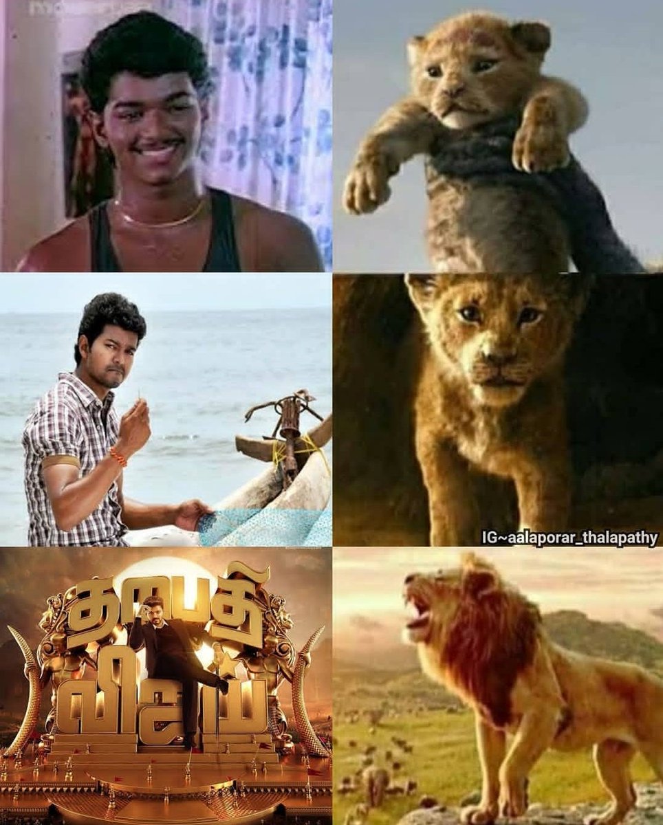 sweety_shree26's tweet photo. Happieeeeeee birthday😍🤩🤩💥💕💖❣️🎈✨✨🎉🎊🎁🎂😘😘😘Thalapathy❣️
#HappyBirthdayThalapathyVijay 
#HBDTHALPATHYVijay 
#HappyBirthdayThalapathy 
#HappyThalapathyDay 
#VijayTheFaceOfKollywood 
#THALAPATHYBday https://t.co/3l1Tgs4gGI