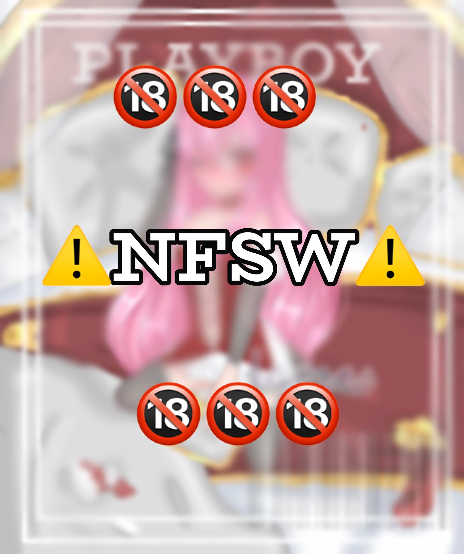 What does NFSW Mean?