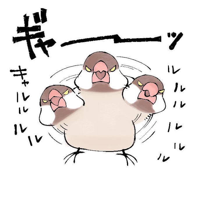 文鳥に怒られる=ごほうび 