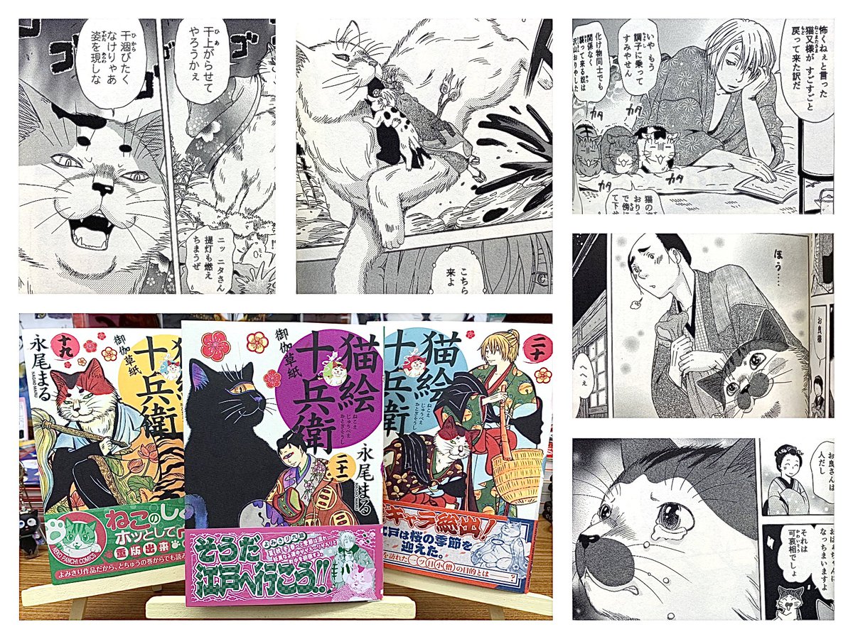 十兵衛＆#ニタ ファンの皆さま最新刊が到着‼️ 『#猫絵十兵衛御伽草紙