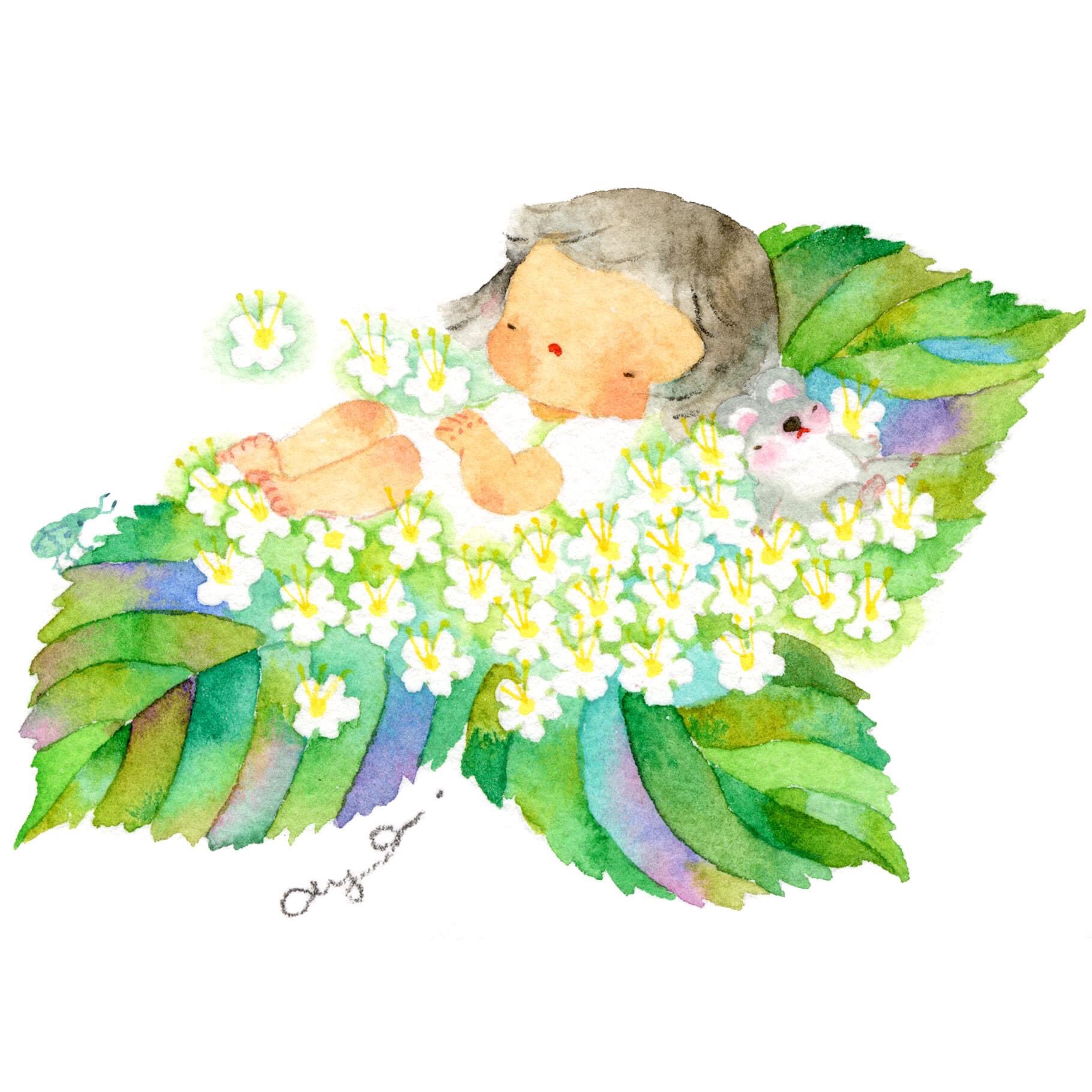 こばやしあや 今日の誕生花 6月22日ガマズミ 花言葉は 愛は死より強し ガマズミの実は真っ赤な小さな丸い実のようで 小さなさくらんぼのようです 真っ白い小さな花から赤い実に変身ですね 絵 水彩画 イラスト Drawing 花言葉 こばやしあや 今日の誕生花 6月22日ガマズミ 花言葉は 愛は死より強し ガマズミの実は真っ赤な小さな丸い実のようで 小さなさくらんぼのようです 真っ白い小さな花から赤い実に変身ですね 絵 水彩画 イラスト Drawing 花言葉