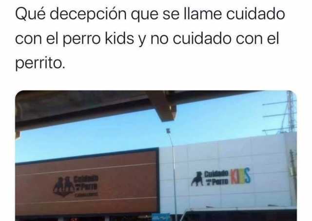 Cuidado con el Perro Kids