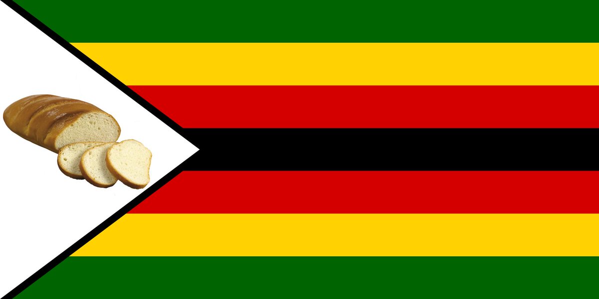 DistilloS's tweet photo. #IstandWithZimbabwe because I am a South African therefore I pride myself in being African. 

Retweet And Like if you are a Proud African 
 #ZimbabweansMustFall https://t.co/iGet46fJ5W https://t.co/cw7DVRJBVn