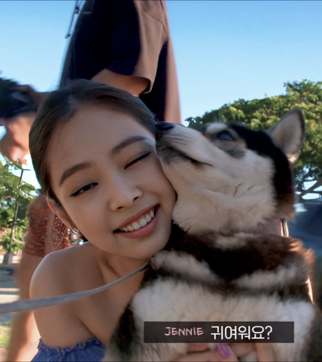 firejennie's tweet photo. puppies 🥺🥺 https://t.co/jaeu6DdybZ