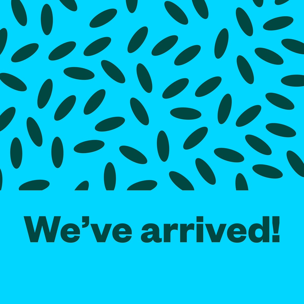 Today’s the day! Now you can shop a wide range of fresh products with delivery times that match your lifestyle. Head to voila.ca to get started.