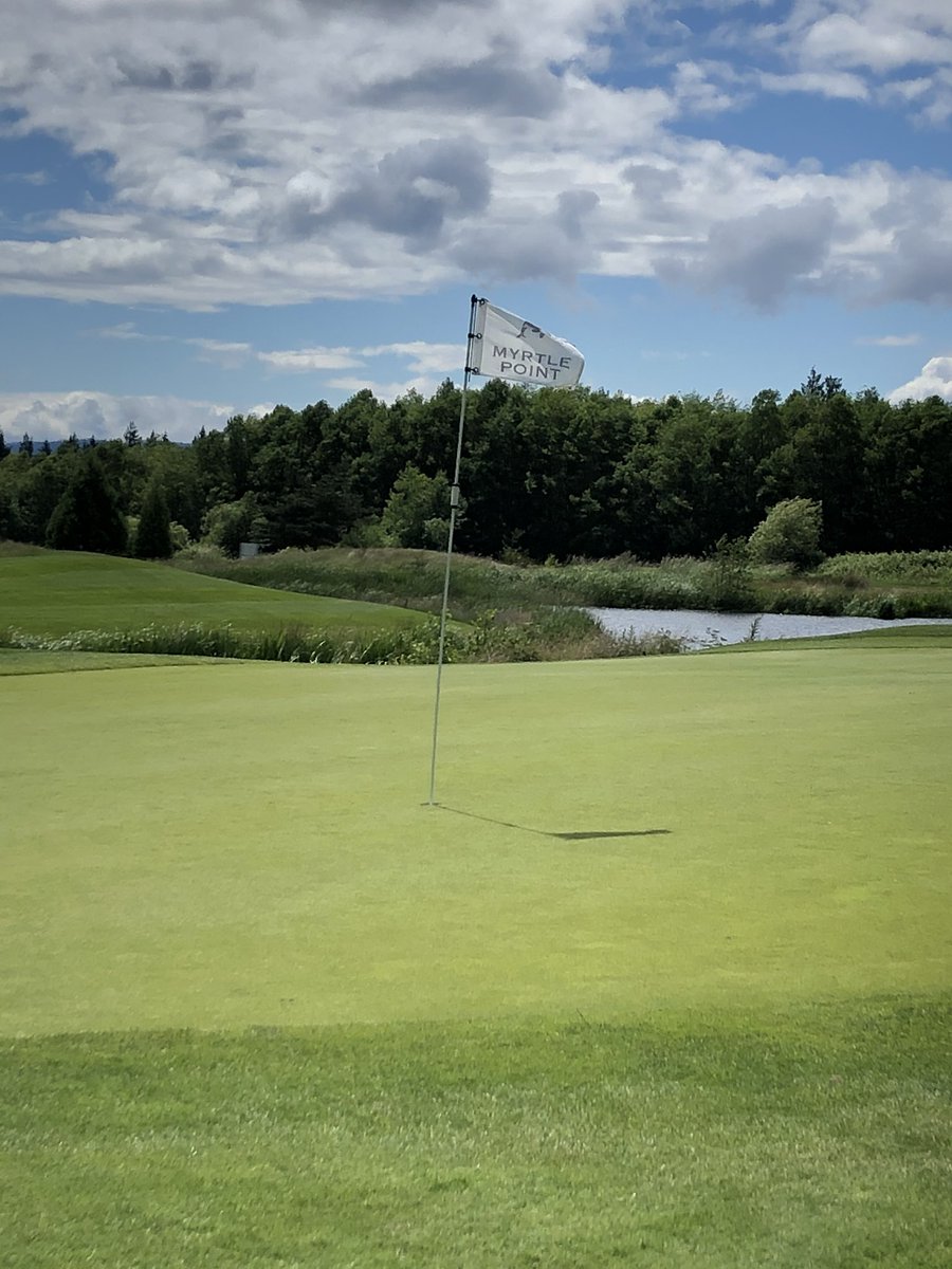 Alex Mastrodonato tweet media