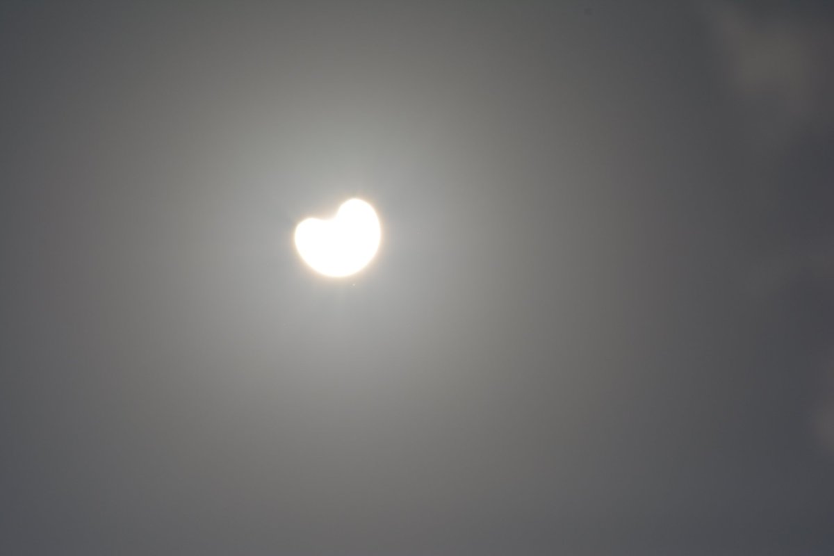DoctorMeenakshi's tweet photo. #solareclipse2020india 
Beautiful heart shaped pictures clicked by me https://t.co/wyWeLVBVe2