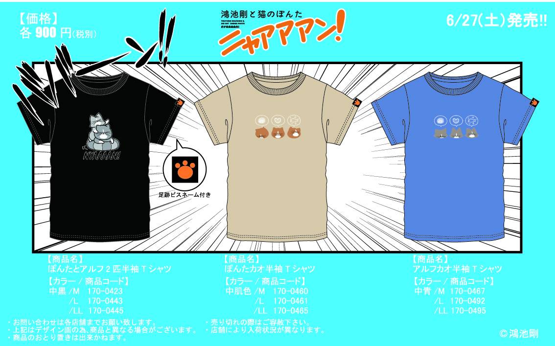猫のぽんた ニャアアアン 広報部 Nyaaaan Ponta Twitter