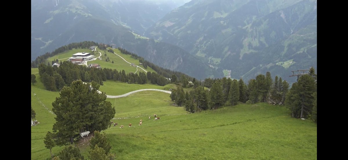 Eddepet72's tweet photo. FF geduld nog #vakantie #mayrhofen #penken #ahorn https://t.co/QwHULqpXsz