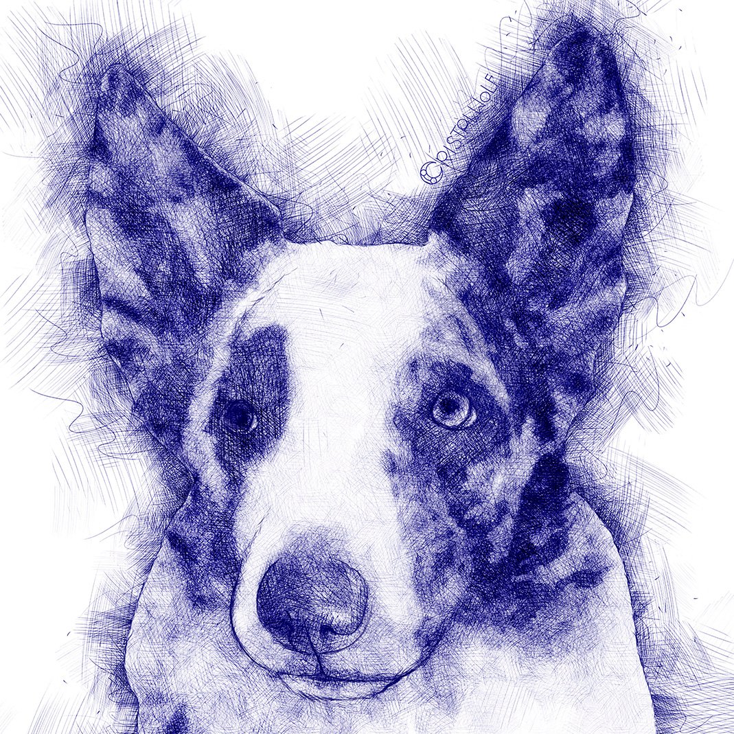 Another sketch of my dear Lealdade.

More: cristalwolf.com⁠

#cristalwolf #bordercollie #pet #doglovers #doggo #dog #dogs #digitalart #portrait  #art #artwork #draw #drawings #animalart #animaldrawing #animal #animaldraw #sketchbook #sketch #sketching #bluemerle