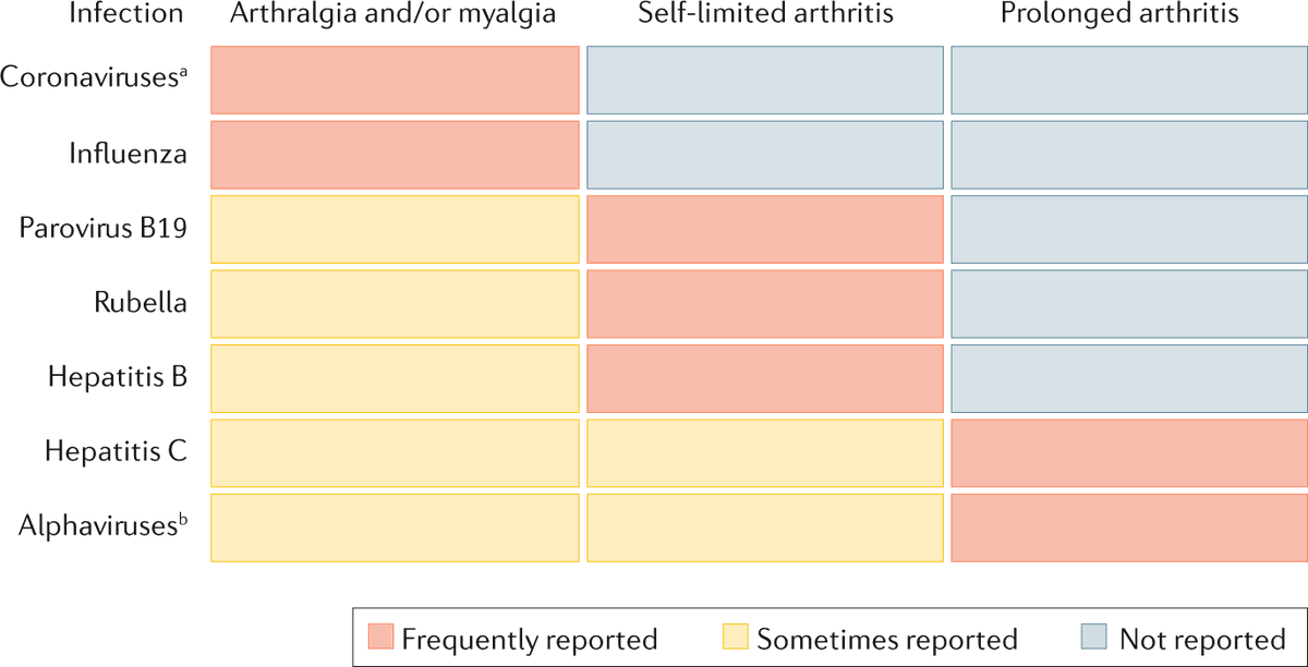 NatRevRheumatol's tweet photo. New article online: COVID-19 revisiting inflammatory pathways of arthritis. Georg Schett and colleagues explore similarities in the inflammatory processes underlying #COVID19 and rheumatoid #arthritis

#rheumatology #rheumtwitter #covid4rheum 

https://t.co/mMWUIlBUmu https://t.co/NTcl4t8cmr