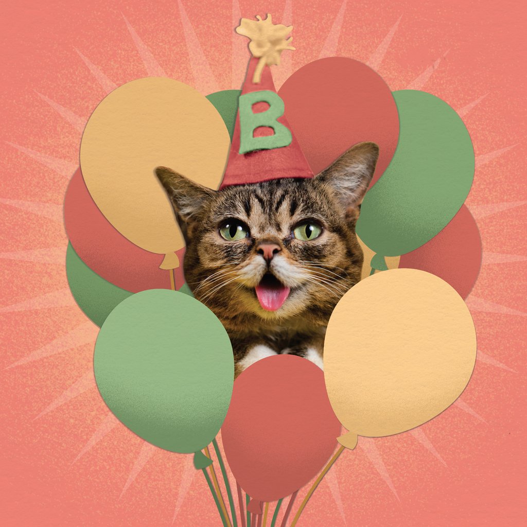 IAMLILBUB's tweet photo. Happy 9th birthday way up in space, BUB. #bestjobbub #bubforever #lilbub https://t.co/TZ84vRHlML