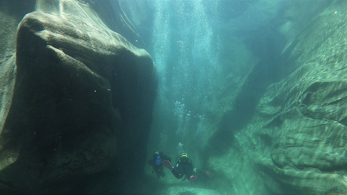 BernDiving's tweet photo. Piensas que no puedes bucear en Suiza! 
Diving Bern tu escuela de buceo en español en Suiza 🇨🇭 
https://t.co/mPfWiR96bz
#buceo 
#Suiza 
#buceoenlagos https://t.co/ZN09IhsoW7