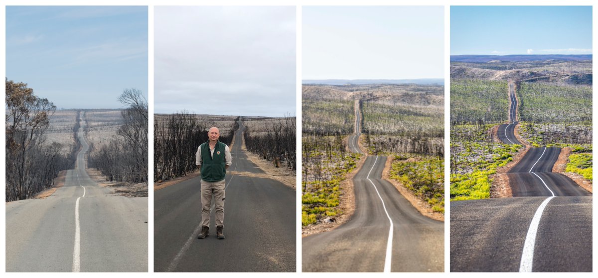 Kangaroo Island Landscape Board tweet media