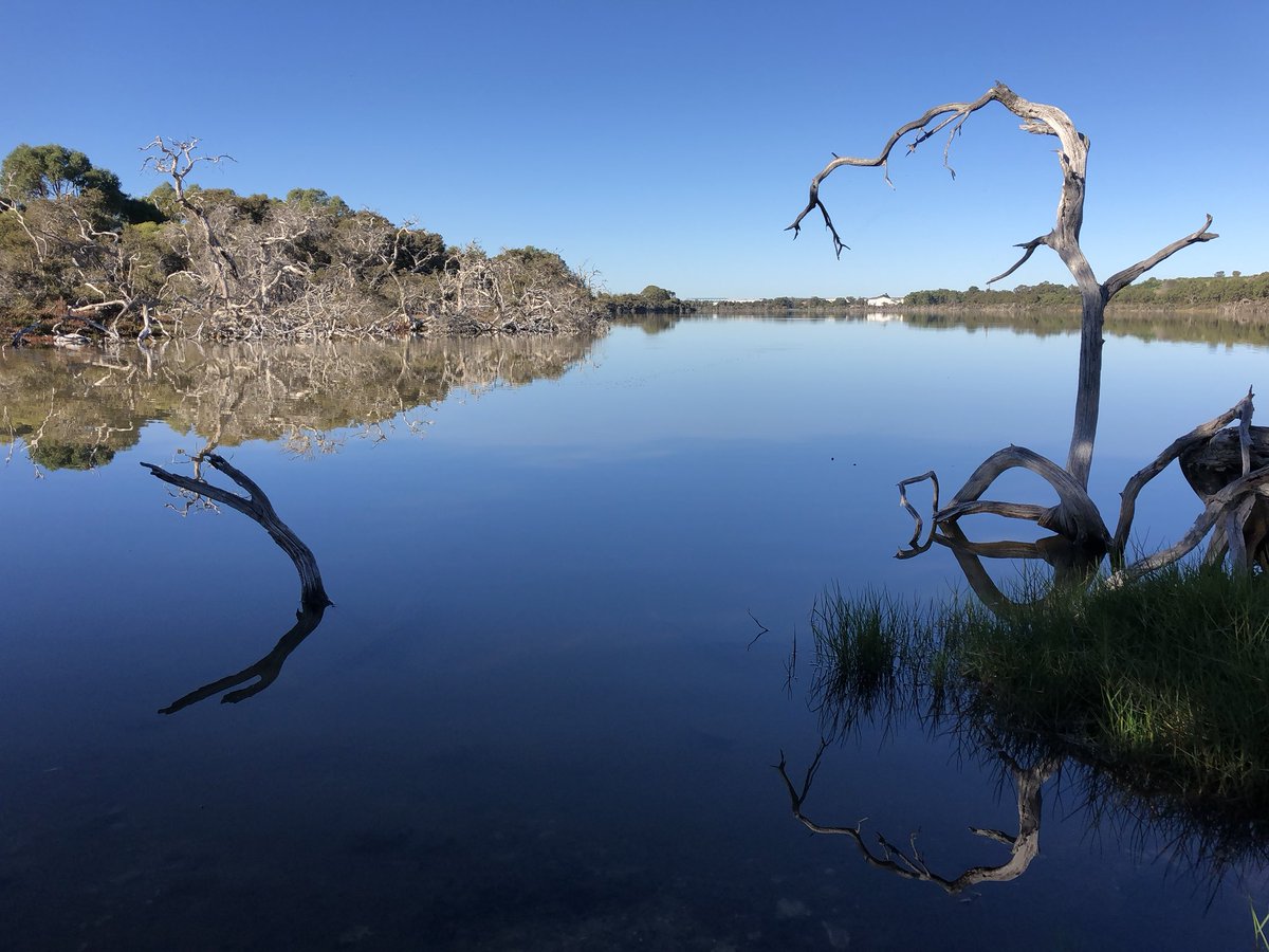 ProfAnneMW's tweet photo. My start to #worldwellbeingweek was a walk around this beautiful lake. It’s not far from where I live and I’d never been there before. This week why don’t you try and go for a walk in nature and explore somewhere new #wellbeing #nature #walk #wa https://t.co/o3to7BqpgW