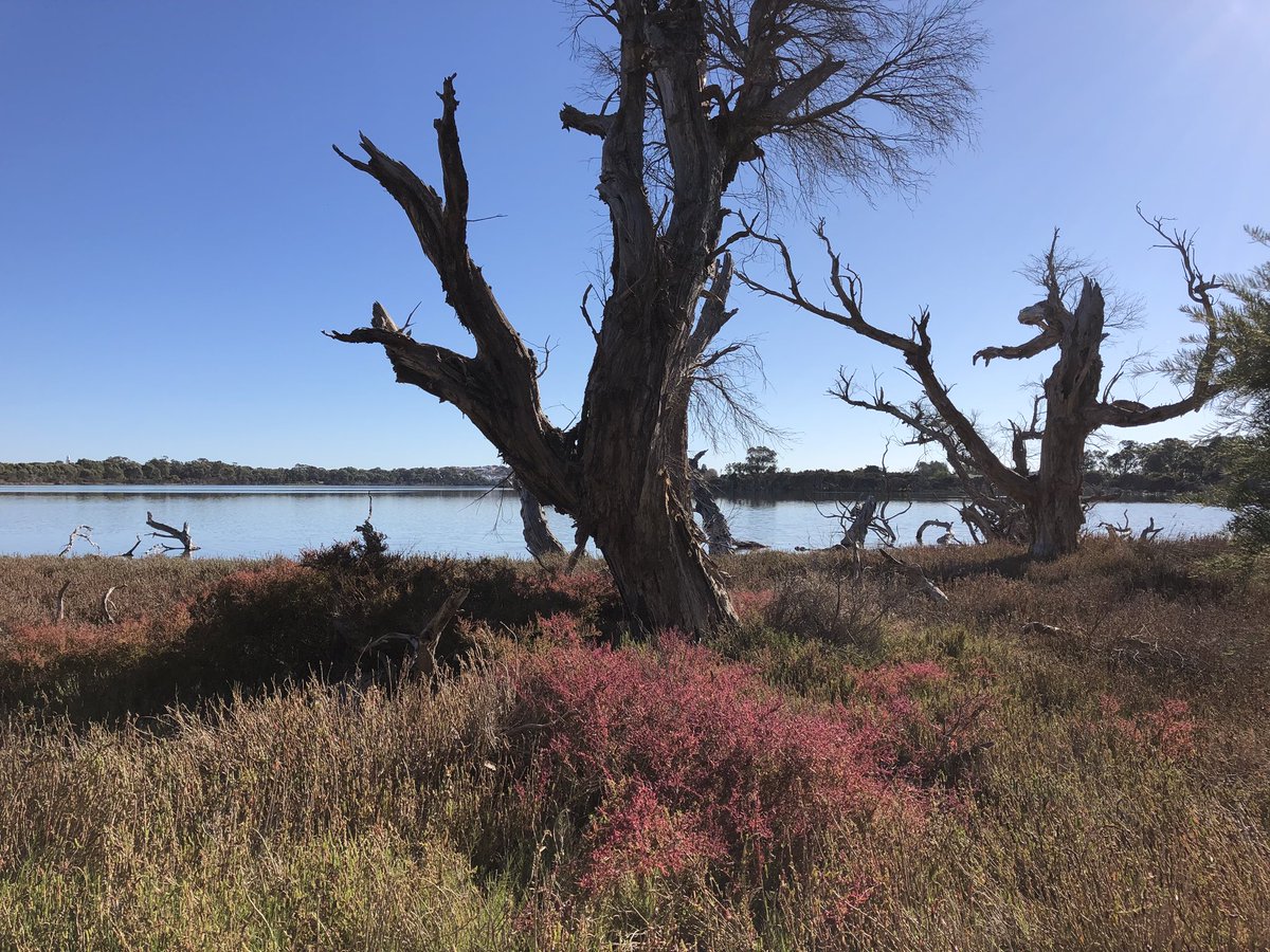 ProfAnneMW's tweet photo. My start to #worldwellbeingweek was a walk around this beautiful lake. It’s not far from where I live and I’d never been there before. This week why don’t you try and go for a walk in nature and explore somewhere new #wellbeing #nature #walk #wa https://t.co/o3to7BqpgW