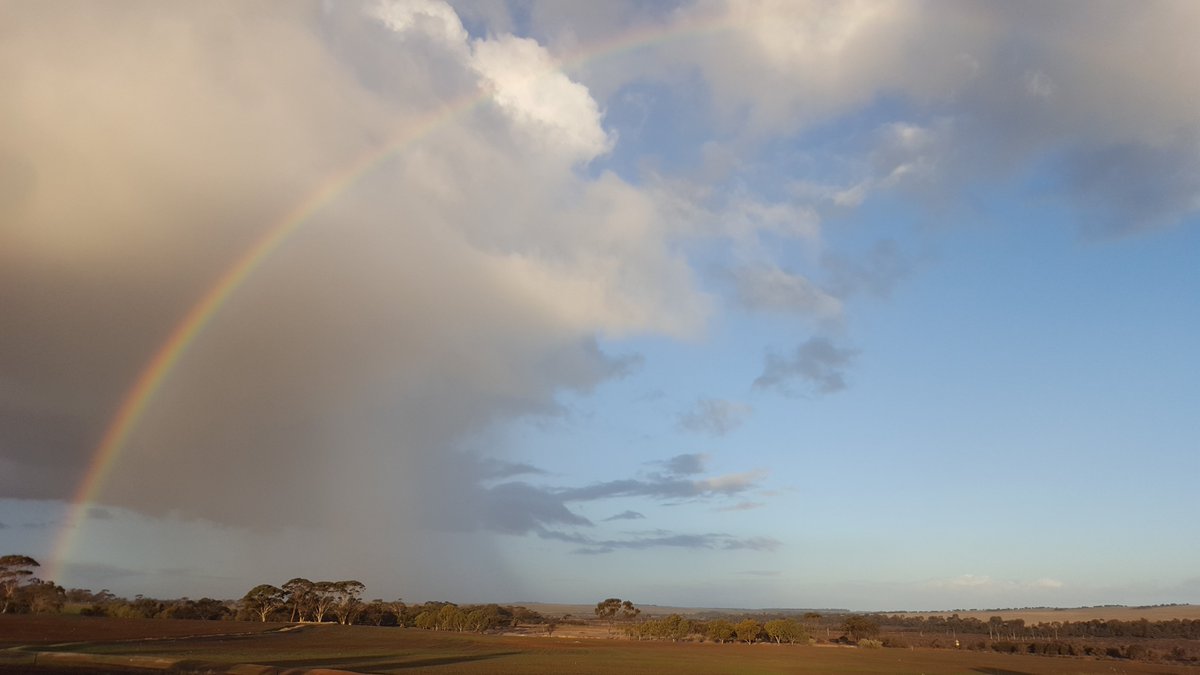 DID YOU KNOW...You're invited to comment on the WA Soil and Land Conservation Council's discussion paper "Sustaining Western Australia’s Agricultural, Horticultural and Pastoral Soils: Western Australian Soil Health Strategy".  https://www.agric.wa.gov.au/slcc/soil-and-land-conservation-council-consultation