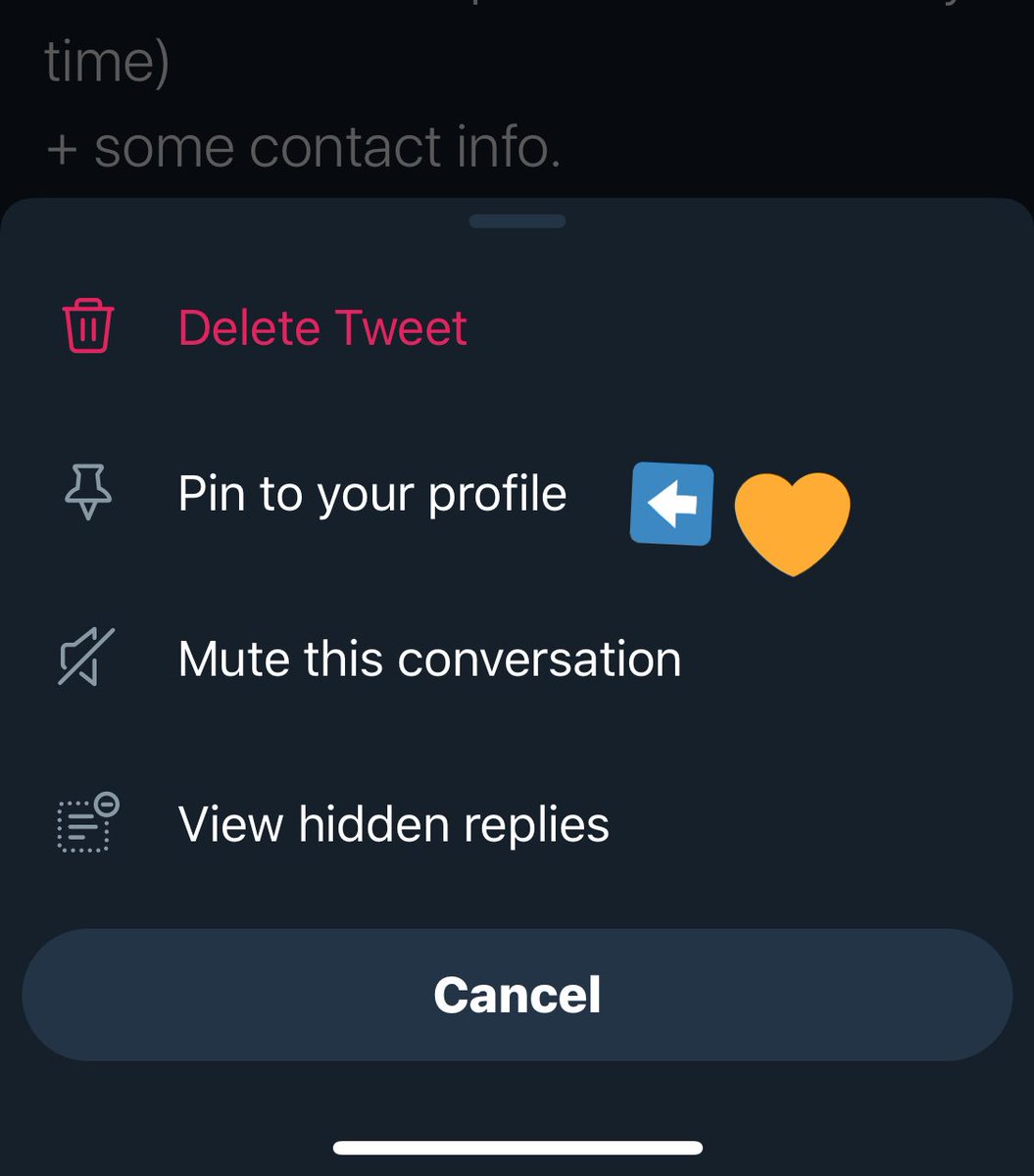 For anyone who doesn’t hang out on this bird app all day like me who is maybe confused by this, a pinned tweet shows up at the top of your timeline. When someone visits your profile it’s the first thing they see. Here’s how to set it.