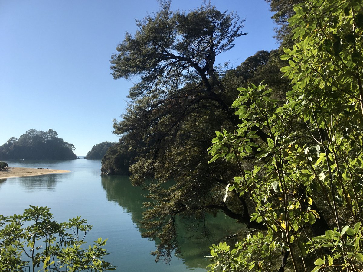 aquidity's tweet photo. Kaiteriteri #TasmanBay #Monday #Nelsonregion Wasp trap https://t.co/fzfhob8xE7