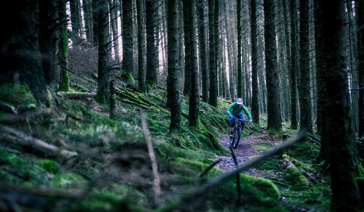 “The clearest way into the universe is through a forest wilderness.” - John Muir 

#MondayMotivaton #mtb #Wales #cycling #forest #getoutside #explore