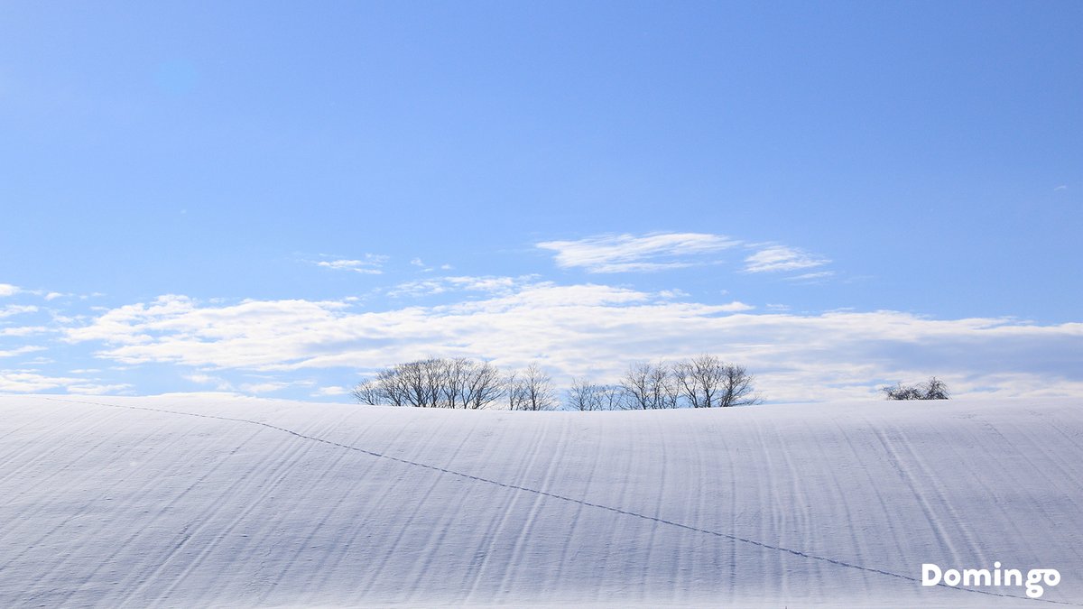 Domingo 公式 市町村公認 北海道の情報メディア バーチャル背景 オリジナル壁紙 In Hokkaido また 新千歳空港 北海道ぐるっとシアター の協力で北海道各地の絶景や名所のバーチャル背景を無料で配布します オンライン会議やパソコンの壁紙